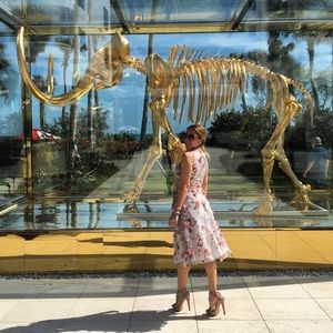 2 piece delicate set top plus skirt